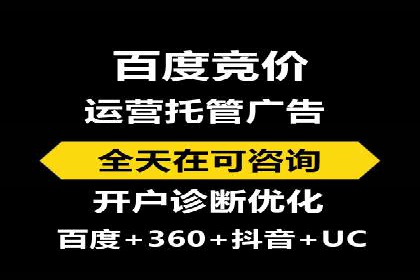 提升网站流量与转化率的关键——关键词竞价排名案例